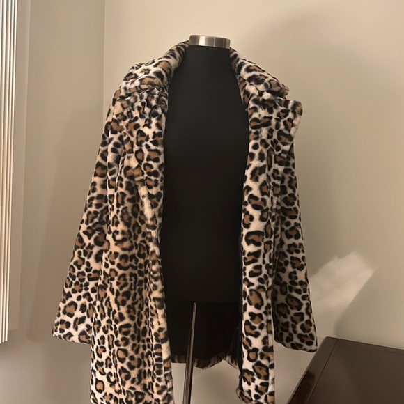 Francesca’s - Picture 3 of 10